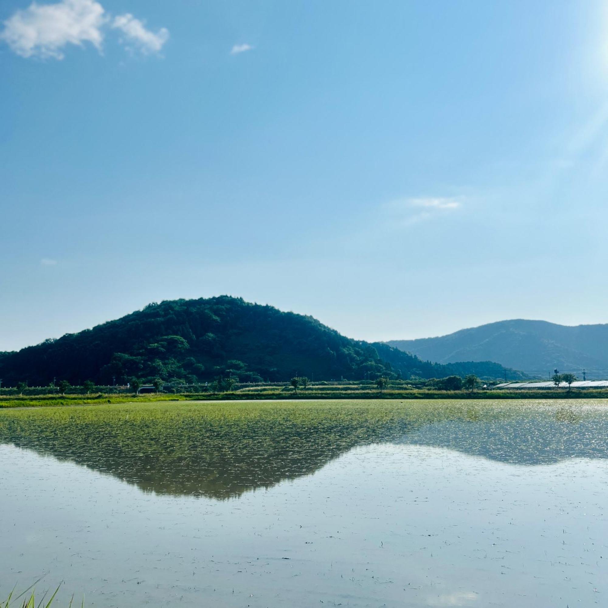 湖北 寺の宿-去-来-現ko-Rai-Gen Nagahama  Ngoại thất bức ảnh